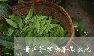 普洱茶紧压茶怎么泡/2023071084140