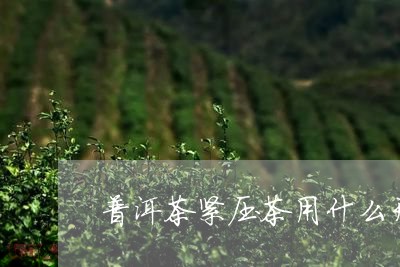 普洱茶紧压茶用什么开/2023101739592