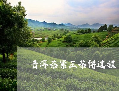 普洱茶紧压茶饼过程/2023120528483