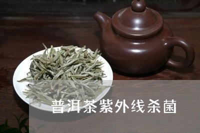 普洱茶紫外线杀菌/2023120411704