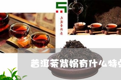 普洱茶紫娟有什么特点/2023093060381