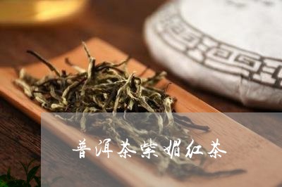 普洱茶紫媚红茶/2023083059814