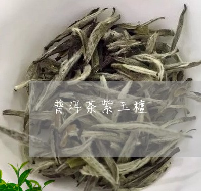 普洱茶紫玉檀/2023042570923