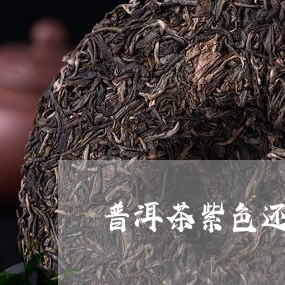 普洱茶紫色还是金芽好/2023062474748