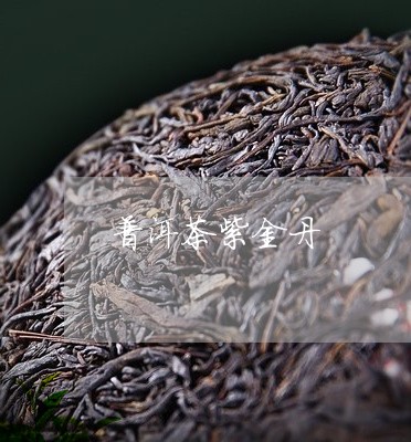 普洱茶紫金丹/2023091361615