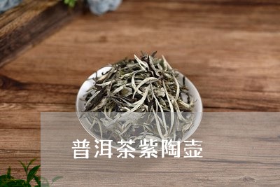 普洱茶紫陶壶/2023090676927