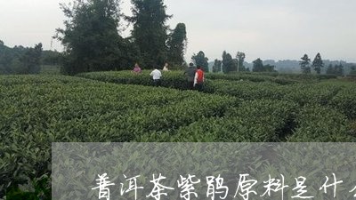 普洱茶紫鹃原料是什么味道/2023112554847