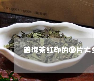 普洱茶红印的图片大全集/2023103169795