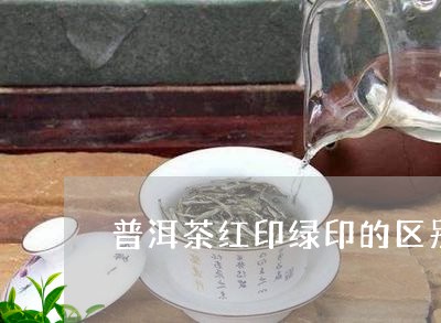 普洱茶红印绿印的区别/2023093085946