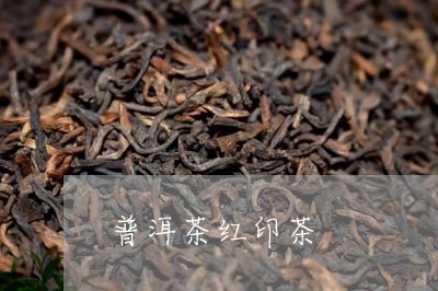 普洱茶红印茶/2023042844977