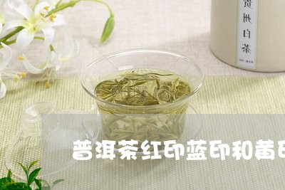 普洱茶红印蓝印和黄印/2023061651147