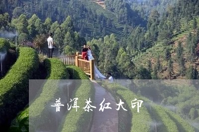 普洱茶红大印/2023042710504