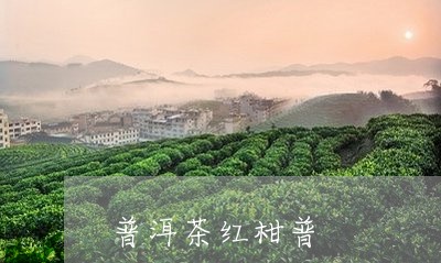 普洱茶红柑普/2023110726585