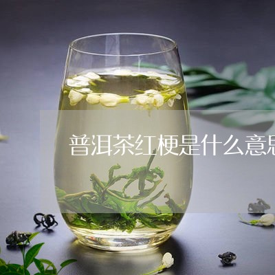 普洱茶红梗是什么意思/2023061519469