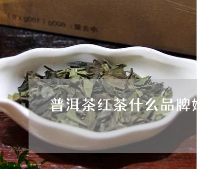 普洱茶红茶什么品牌好/2023100678402