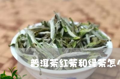 普洱茶红茶和绿茶怎么区分/2023112550485