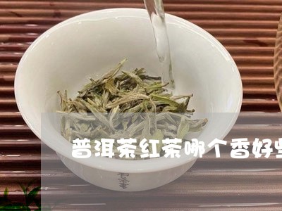 普洱茶红茶哪个香好些点/2023082731415