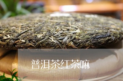 普洱茶红茶嘛/2023042945937