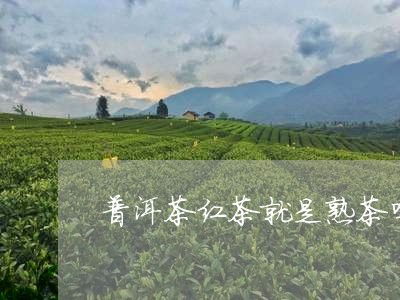 普洱茶红茶就是熟茶吗/2023080389472