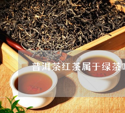 普洱茶红茶属于绿茶吗/2023100501594