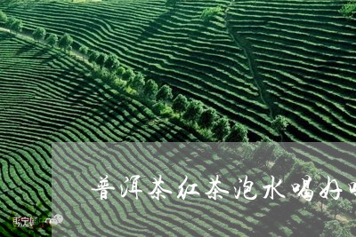 普洱茶红茶泡水喝好吗功效/2023083002926