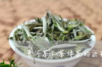 普洱茶红茶绿茶的区别和功效图片/2023110347178