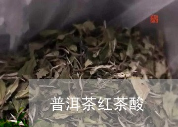 普洱茶红茶酸/2023042753210