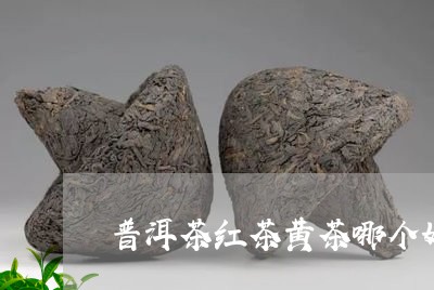 普洱茶红茶黄茶哪个好/2023080318572