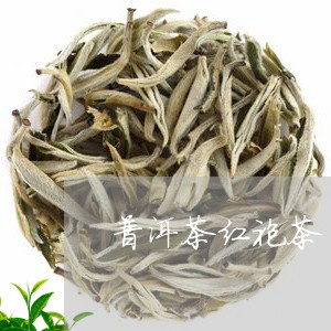 普洱茶红袍茶/2023042838011