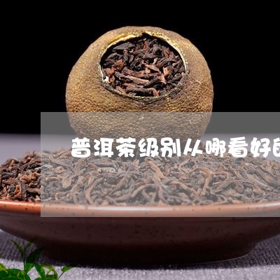 普洱茶级别从哪看好的呢/2023120703147