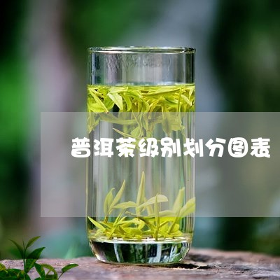 普洱茶级别划分图表/2023120536480