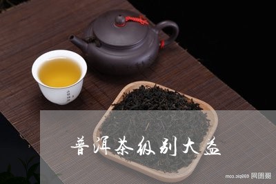 普洱茶级别大益/2023110900704