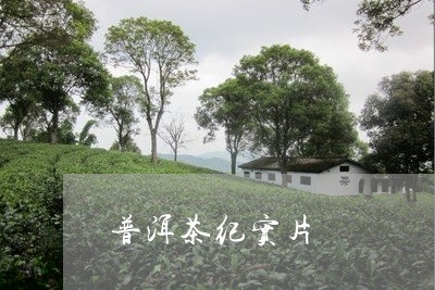 普洱茶纪实片/2023042747451