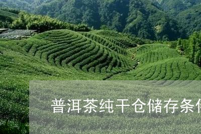 普洱茶纯干仓储存条件/2023062480734