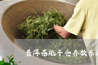 普洱茶纯干仓存放东西可以吗/2023052902738