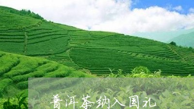 普洱茶纳入国礼/2023081826258