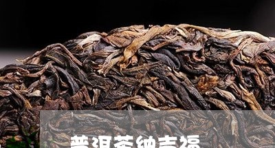 普洱茶纳吉福/2023042897839