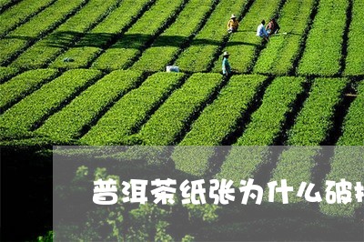 普洱茶纸张为什么破损/2023120611614