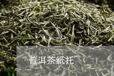 普洱茶纸托/2023090630380