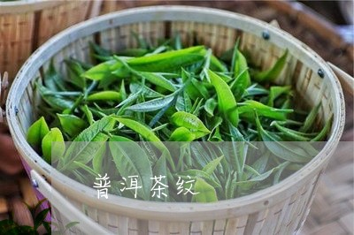 普洱茶纹/2023083172703