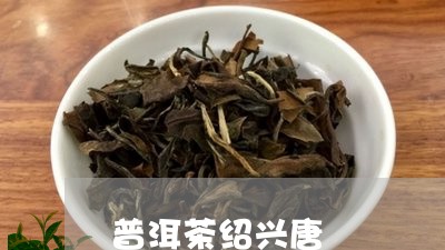 普洱茶绍兴唐/2023042930944