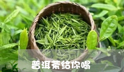 普洱茶给你喝/2023081598380