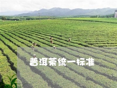 普洱茶统一标准/2023120304836