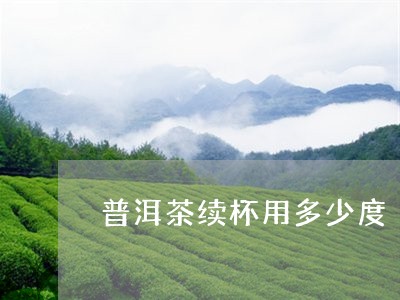 普洱茶续杯用多少度/2023101631837