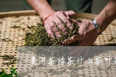 普洱茶绿茶什么茶叶好/2023100542808