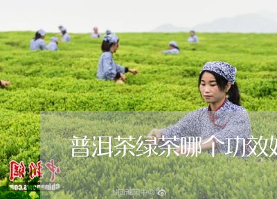 普洱茶绿茶哪个功效好/2023100631485