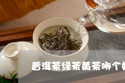 普洱茶绿茶黄茶哪个好/2023100769684