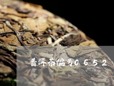 普洱茶编号0652/2023070908473