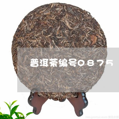 普洱茶编号0875/2023120595937