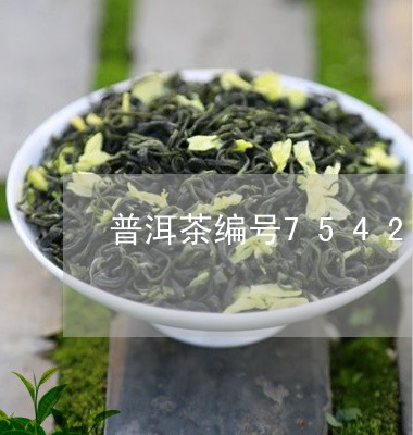 普洱茶编号7542/2023070996169